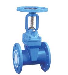 RRX-12/09明(ming)杆彈性座封(feng)閘閥