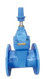 RVX-12/09帶傳(chuán)動帽彈性座(zuò)封閘閥