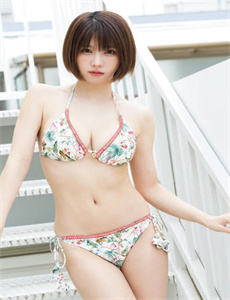 电影遍地狼烟演员表