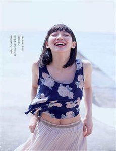 芝麻胡同 电视剧