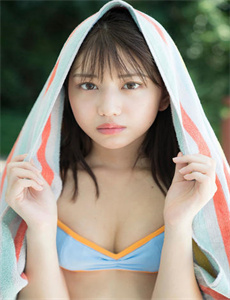 银狐电视剧